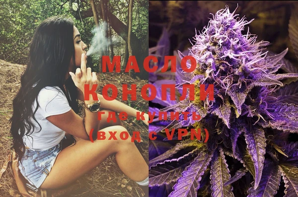 гашик Каменка