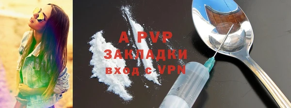 гашик Каменка