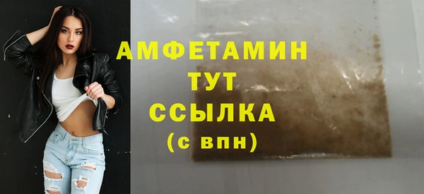 гашик Каменка