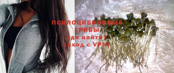 Альфа ПВП Карпинск