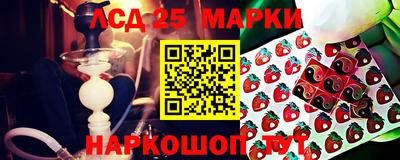 индика Мариинск