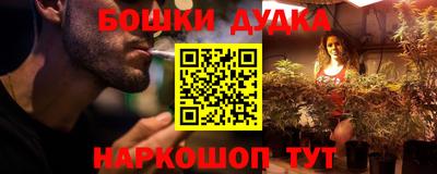 индика Мариинск