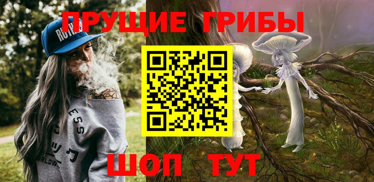 Каменск-Шахтинский  Галлюциногенные грибы GOLDEN TEACHER  Вход с VPN 
